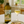 Riesling Organic 2021｜リースリング オーガニック 2021